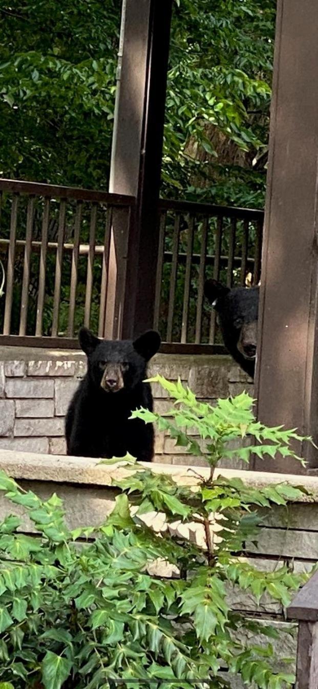 Brookside Lodge Gatlinburg Dış mekan fotoğraf