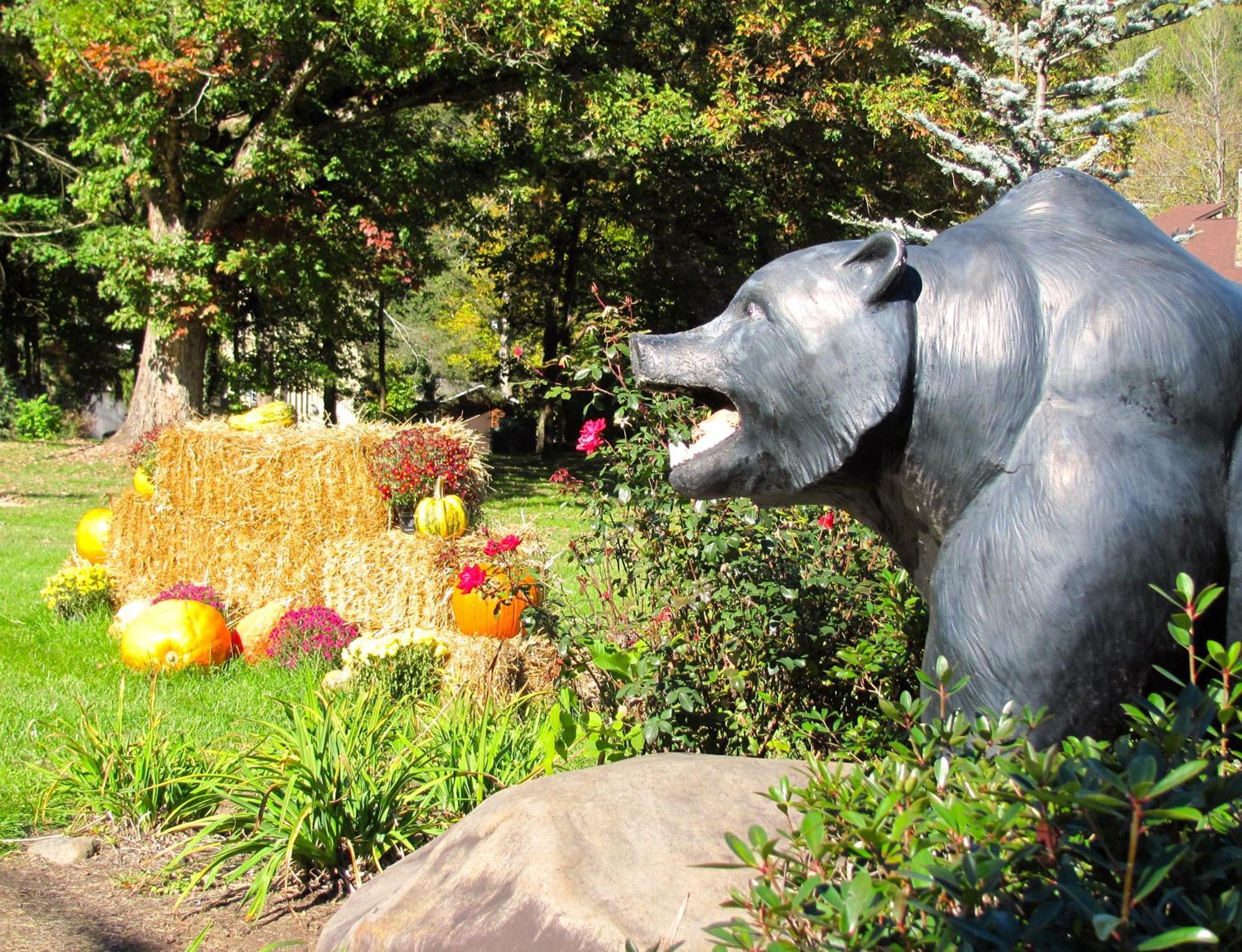Brookside Lodge Gatlinburg Dış mekan fotoğraf